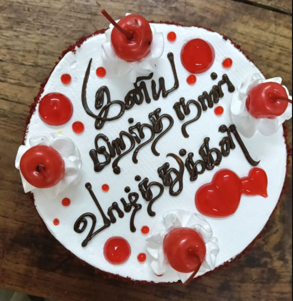 Black Forest Cake with Cherry Fruits Topping Birthday Celebration Cake