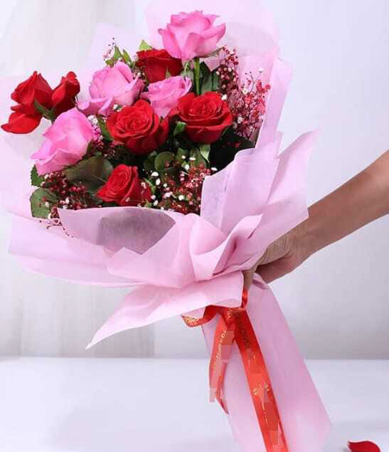 Fresh Red and Ravel Pink Roses Bouquet Gift with Elegant Pink Wrapping