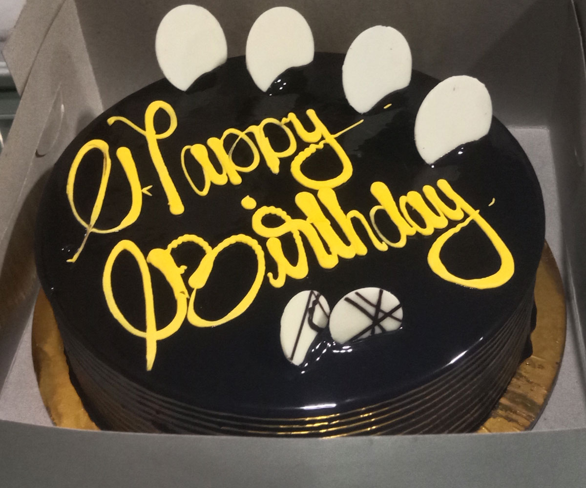 Royal Chocolate Mirror Cake